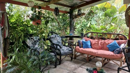 Jiménez Apartamento | Árbol de mayo