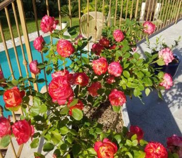 Le Collet Cama Y Desayuno | Ô Tilia d'Azur