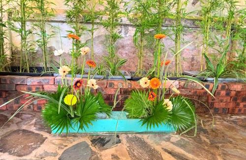 Ba Dinh Cama Y Desayuno | Đòng Garden