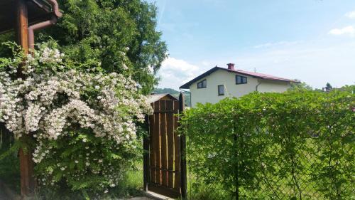 Swinna Apartamento | Świnna - Brzozowy Zagajnik
