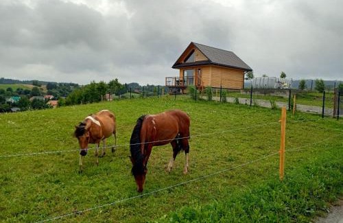 Solina Casa | Żarniczki 693-387-544