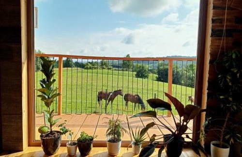 Solina Casa | Żarniczki 693-387-544