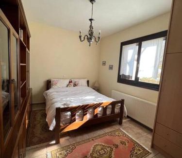 Egira Casa | Ανάμεσα στα Έλατα