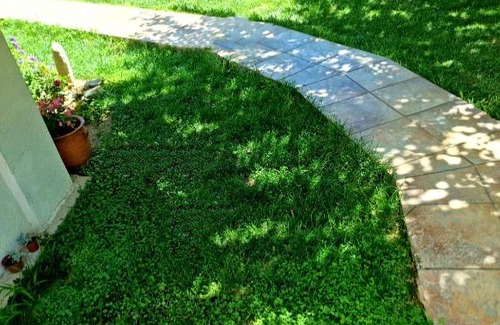 Trikala Casa | Το παραδοσιακό θέρετρο, Απόδραση στα Τρίκαλα