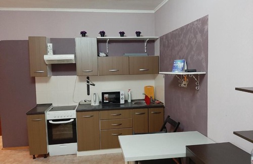 Tsentralnyy okrug Apartamento | Аппартаменты Осипенко