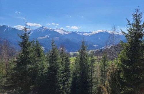 Snidavka Casa | Велика Дзен Хата