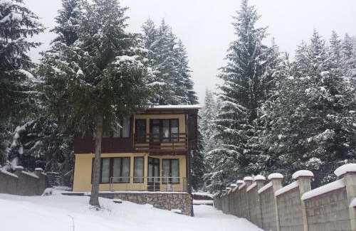 Sarnitsa Casa | Вила Мерджан