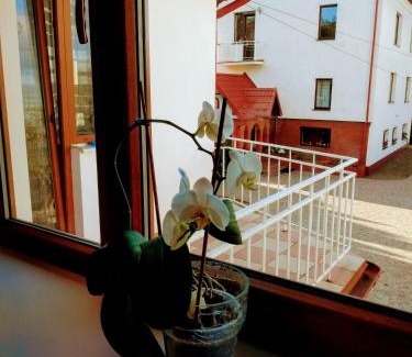 Morshin Apartamento | Вілла ЕДЕЛЬВЕЙС