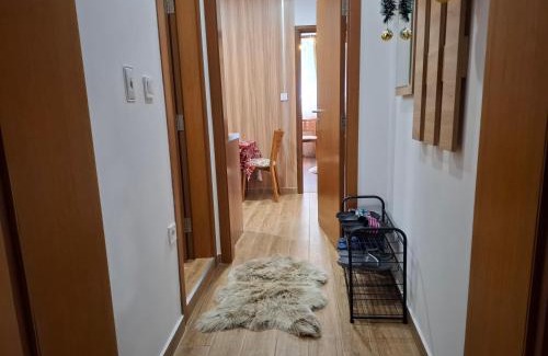 Pamporovo Apartamento | Двуспален апартамент Милена в хотел Росица,Пампорово