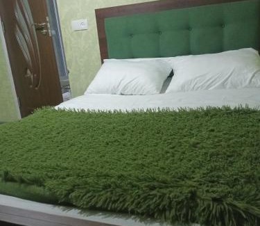 Yerevan Apartamento | Зелёный дом рай
