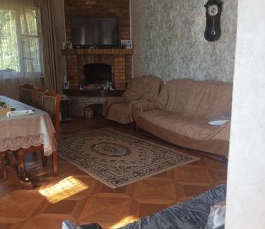 Yerevan Apartamento | Зелёный дом рай