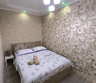 Bishkek Apartamento | Комфортный дом до 4х человек. Есть парковка на 2 машины, Wi-Fi, TV.