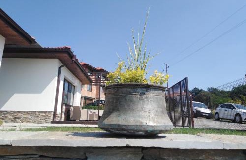 Gabrovo Casa | къща за гости ЯНА