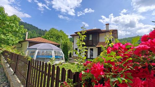 Tryavna Casa | Къщи за гости Тепавица - Pool & Coworking