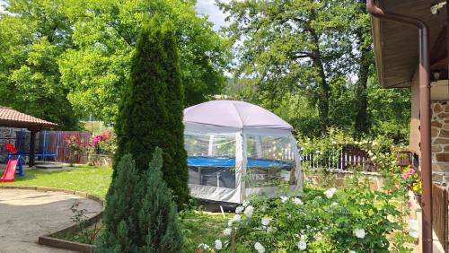 Tryavna Casa | Къщи за гости Тепавица - Pool & Coworking