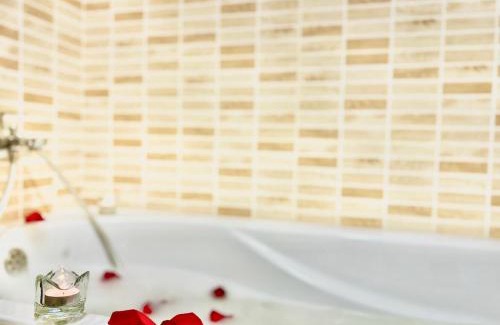 Petrovskoye Apartamento | Нетеченская набережная