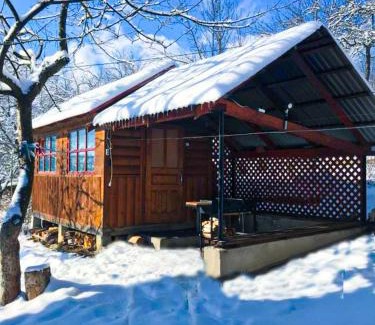 Yaremche Cabina | Під лісом у гіда