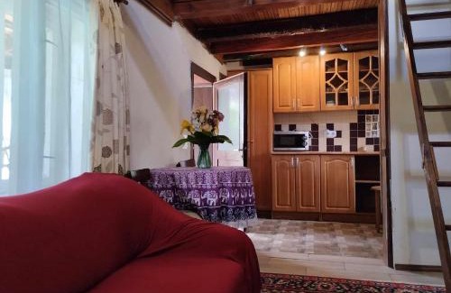 Transcarpathia Apartamento | Садиба-студіо Під вишнею