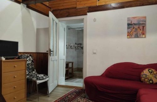 Transcarpathia Apartamento | Садиба-студіо Під вишнею