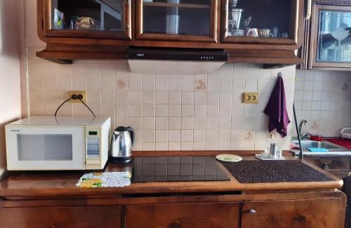 Uzhhorod Apartamento | Старовинні апартаменти у центрі міста