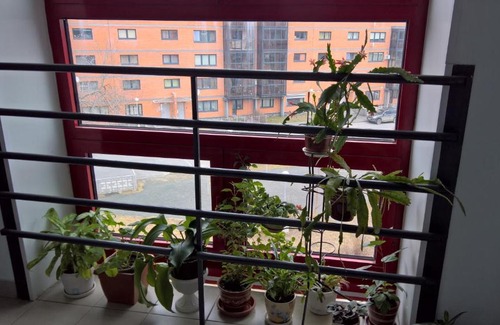 Petrozavodsk Apartamento | Студия на Варкауса