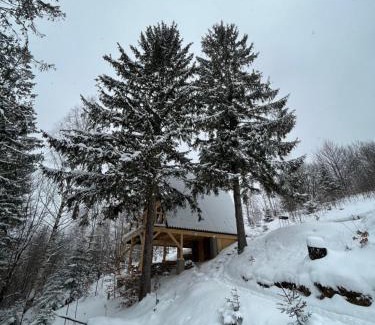 Yaremche Casa | Схованка