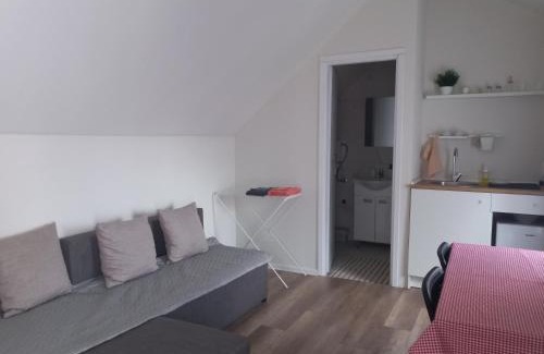Zrenjanin Apartamento | Сјајни лешник