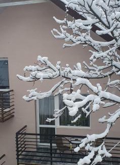 Yaremche Apartamento | Три горішки