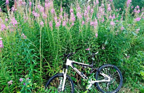 Plavya Apartamento | ТСЦ Тисовець