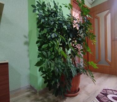 Khatai Apartamento | Уютная квартира со всеми удобствами