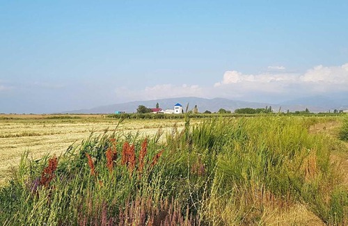 Issyk-Kul Region Casa | Хутор Белая Башня