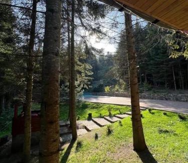 Myhove Casa | Ялинка