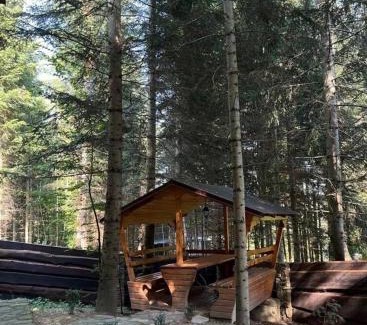 Myhove Casa | Ялинка