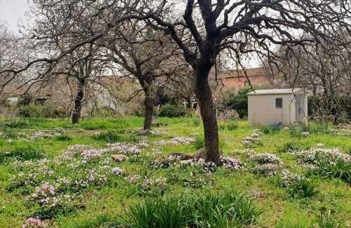 Emek Izrael Apartamento | יחידת דיור נעימה, יפה ומוארת עם חצר קדמית גדולה