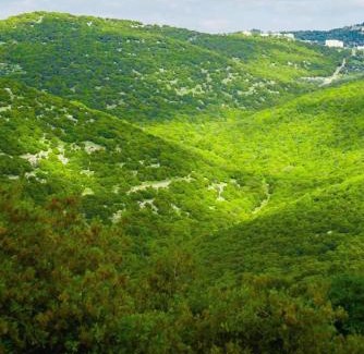 Ajloun Cabina | أكواخ الهدهد