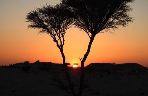 Ash Sharqiyah North Governorate Casa | مزرعة نحل العسل