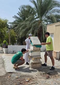 Ash Sharqiyah North Governorate Casa | مزرعة نحل العسل