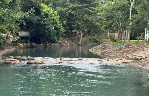 Khao Yai National Park Cabina | กางเขา แคมป์ปิ้ง