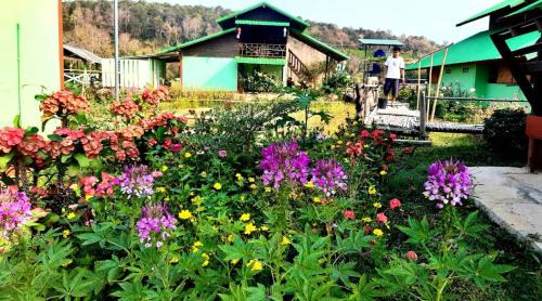 Pua Casa | ชมนาโฮมสเตย์บ้านนาคำ