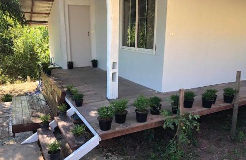 Bo Kluea Otro | บ้านปลายดอย สะปัน