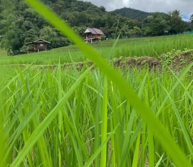 Mae Chaem Casa | บ้านพักชิปู ป่าบงเปียง