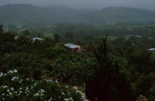 Khao Kho Cama Y Desayuno | บ้านไม้ภูหมอก
