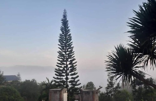 Khao Kho Cama Y Desayuno | บ้านไม้ภูหมอก