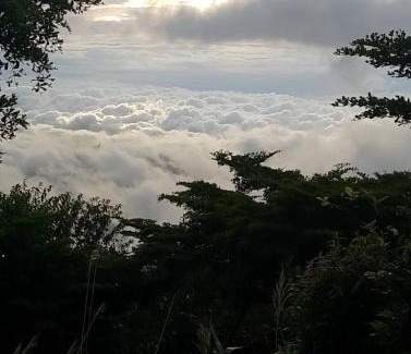 Phetchabun Complejo | ฟ้ากำหนด ภูทับเบิก