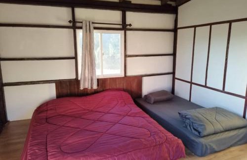 Tha Wang Pha Casa | มองนาภูคาน่านโฮมสเตย์