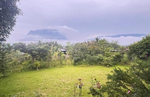 Chiang Dao Cama Y Desayuno | ม่อนหมอกเชียงดาว