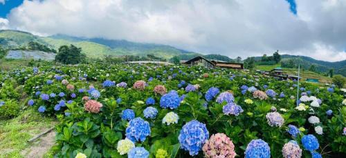 Doi Lo Casa | รักเขาอินทนนท์โฮมสเตย์ Doi inthanon Homestay