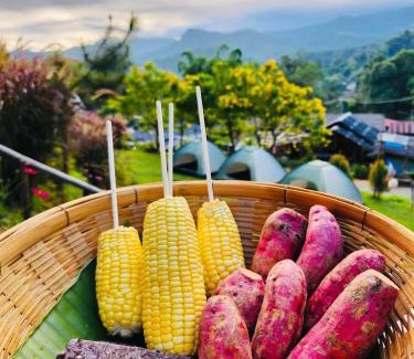 Doi Lo Casa | รักเขาอินทนนท์โฮมสเตย์ Doi inthanon Homestay