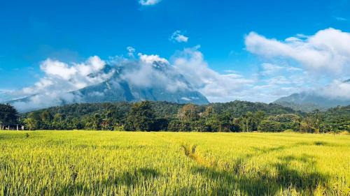 Chiang Dao Cabina | หลงเขา Chiang Dao
