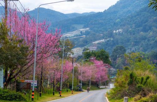 Chom Thong Casa | อินทนนท์ เล่าจู